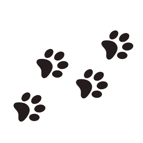 paws