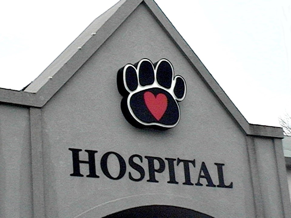 animal hospital