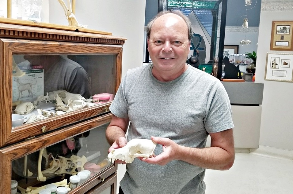 man with animal