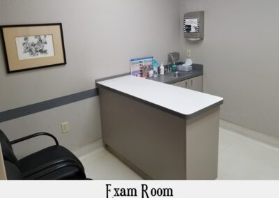 Clean veterinary exam space