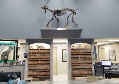 File room with skeleton