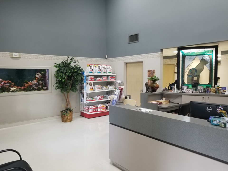 Veterinary clinic reception area with a fish tank and pet supplies on display