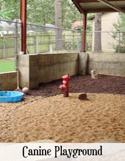 Outdoor dog play zone