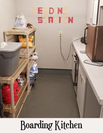 Pet food prep area