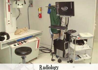 Vet Radiology testing room