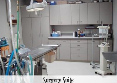 Vet surgery suite