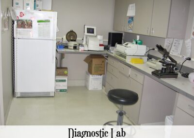 Vetcare Diagnostic Lab