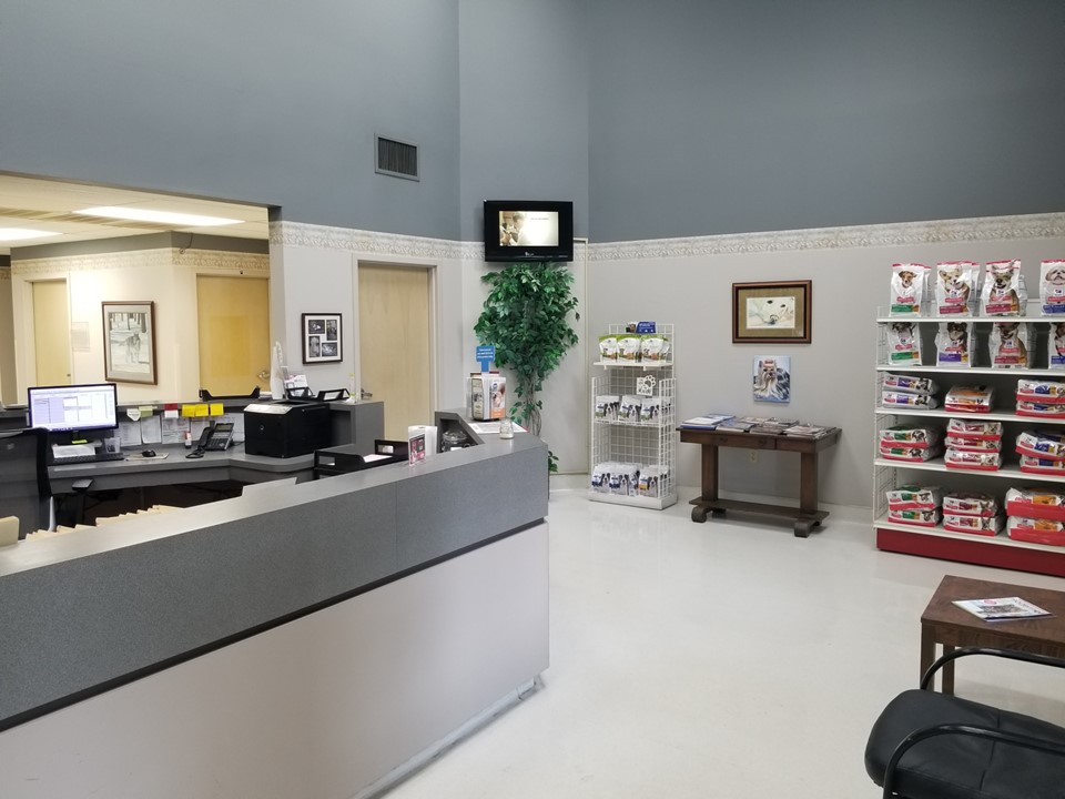Veterinary clinic reception desk