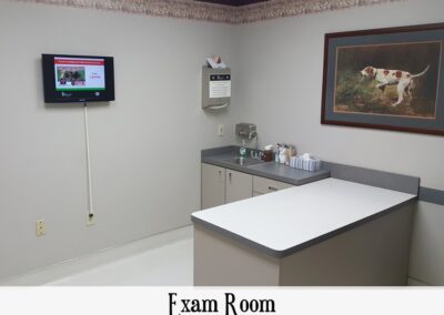 Veterinary exam room table