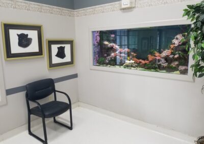 Waiting area fish tank