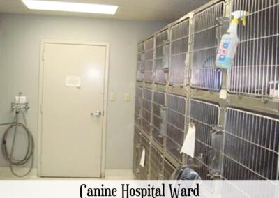 vet canine hospital ward