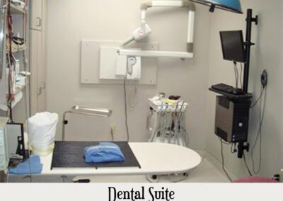 vet dental suite