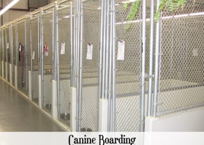 vetcare canine boarding space
