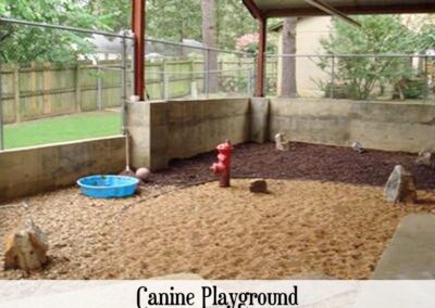 vetcare canine palyground outdoor