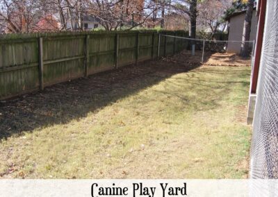 vetcare canine play yard