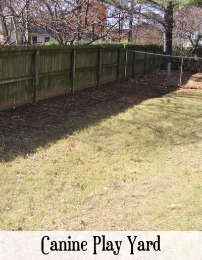 vetcare canine play yard
