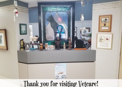 vetcare receiption desk