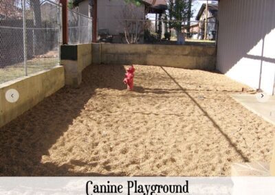 Canine Playground outside