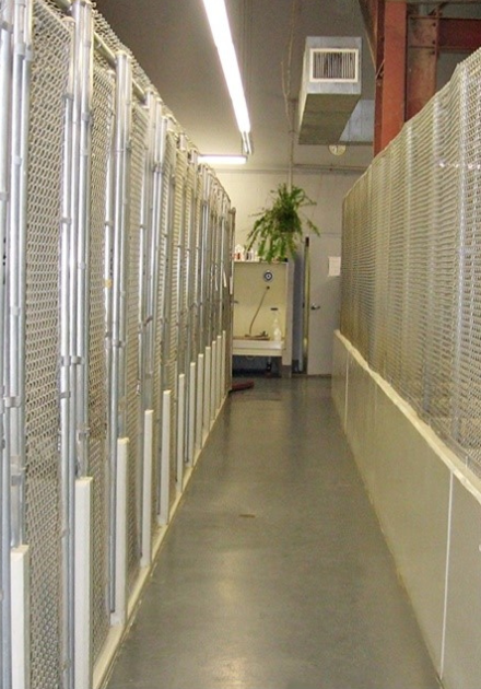 canine boarding area