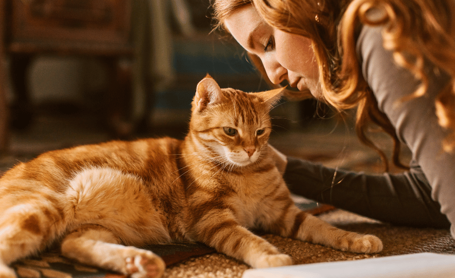 woman petting an orange cat